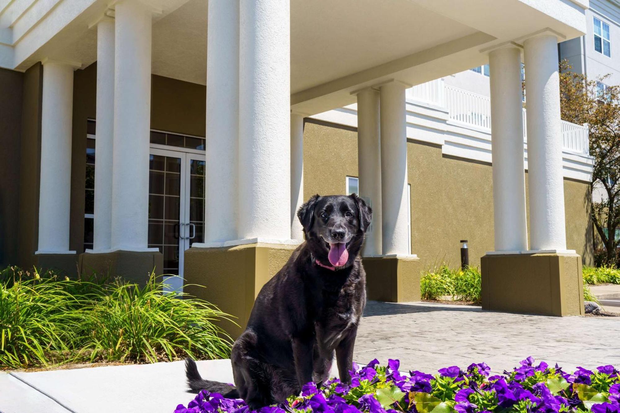 Homewood By Hilton Hotel Kearsarge